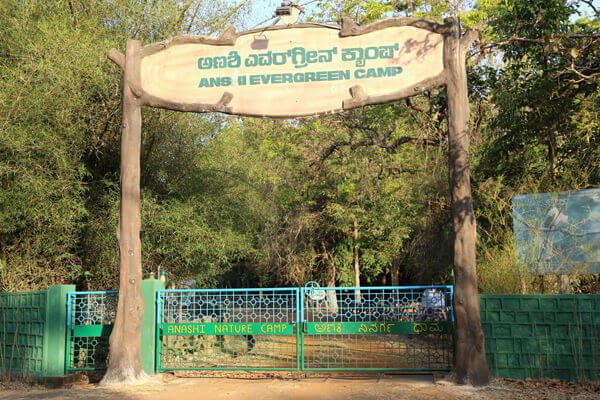 anshi-evergreen-camp