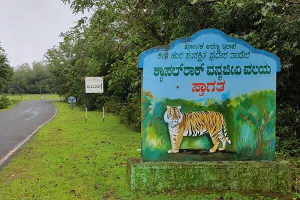 castle-rock-camp-ingall