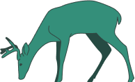 Fauna