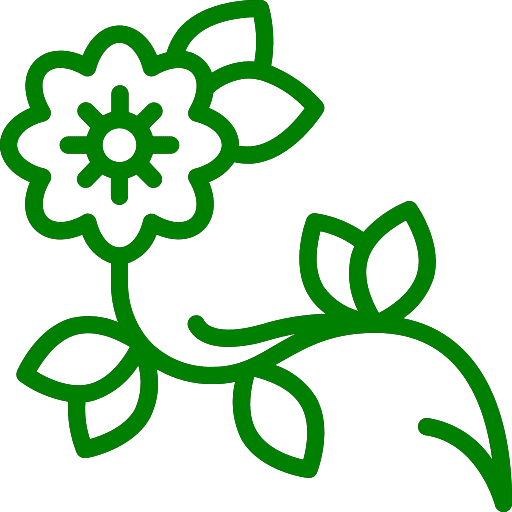 Flora