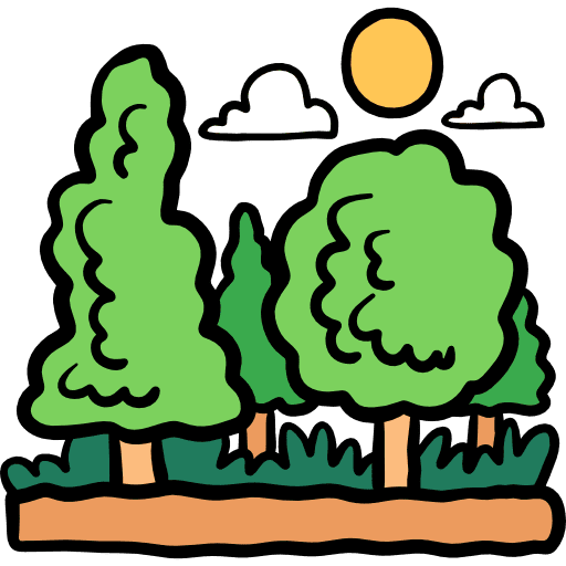 KTR Forest