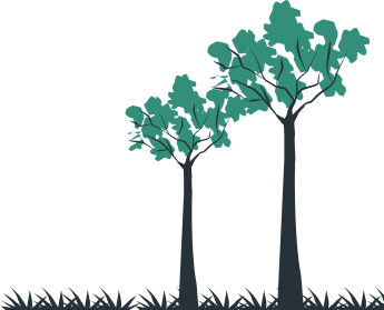 KTR Forest