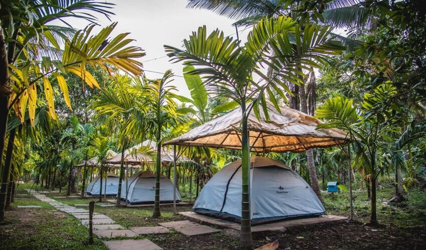 Tents